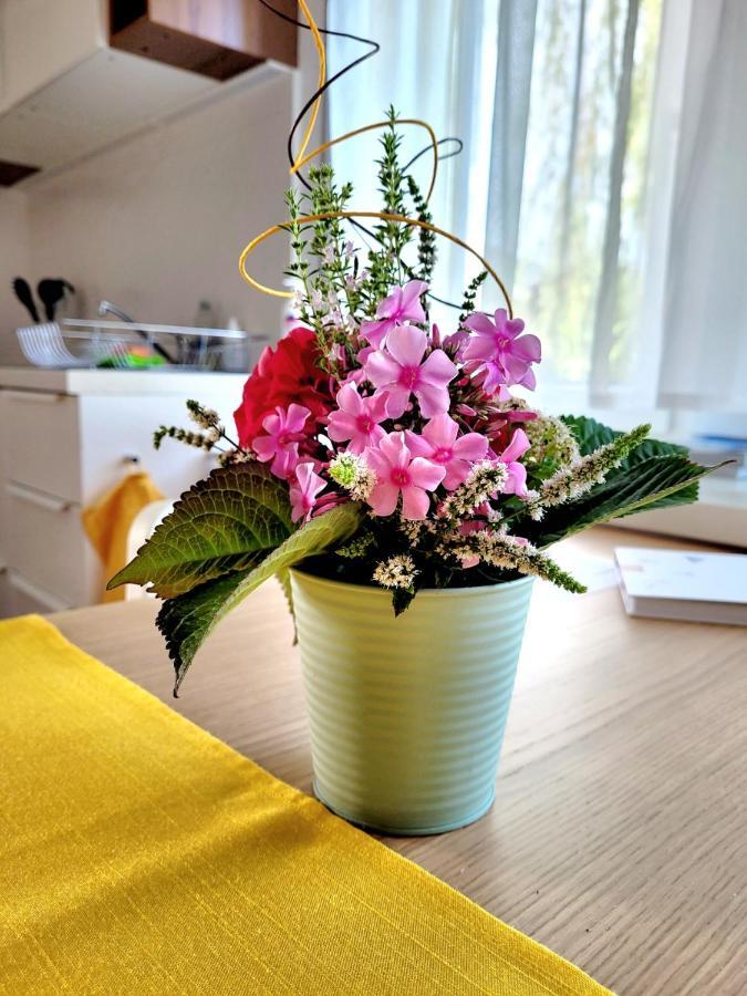 Apartment Sonnenschein ドルンビルン エクステリア 写真
